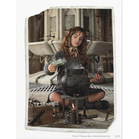 Hermione Granger et la Potion des Secrets Diamond Painting