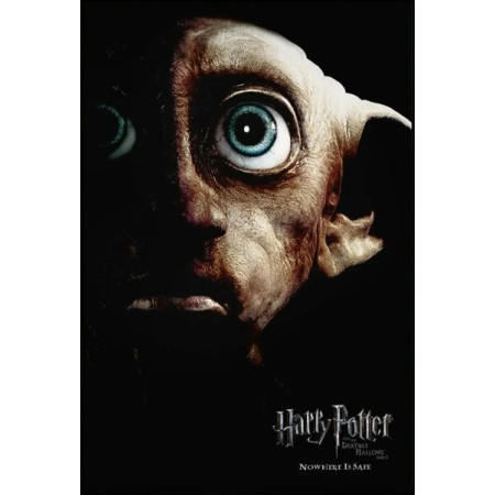 Le Regard Perçant de Dobby Diamond Painting