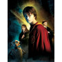 Harry Potter : L'Équipe Magique Diamond Painting