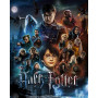 L'Armée de Dumbledore : Mosaïque des Sorciers Diamond Painting