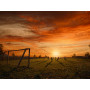 Voetbal bij de Gouden Zonsondergang