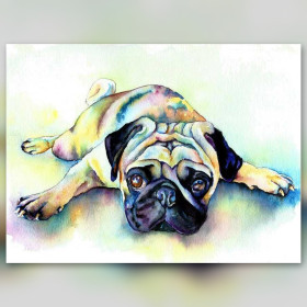 Carlin allongé détendu en diamond painting strass brillants colorés