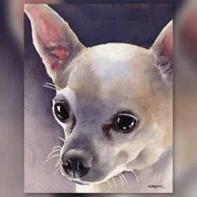 Diamond painting Chihuahua doux regard strass brillants toile terminée