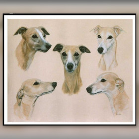 Diamond painting canvas windhonden beige glinsterende steentjes borduurset