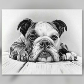 Diamond painting bulldog anglais portrait crayon strass brillants