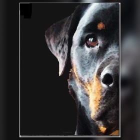 Toile de diamond painting Rottweiler, Regard Profond broderie diamant kit complet