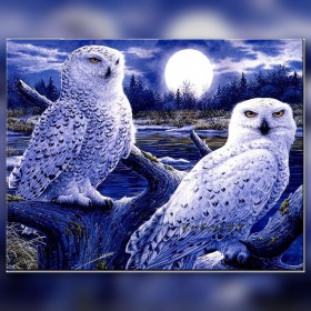 Gufo delle nevi bianco su ramo al chiaro di luna diamond painting strass brillanti