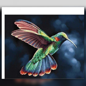 Colibri aux plumes irisées en diamond painting strass brillants