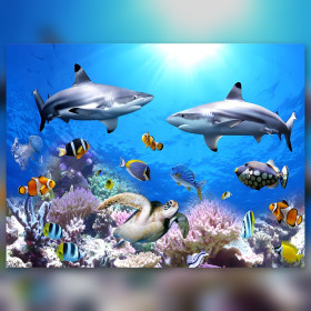 Kit pittura diamante Récif Corallien et Requins strass scintillanti su tela