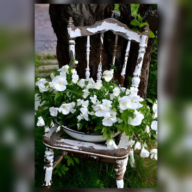 Diamond painting Milena on white chair with white flowers shiny rhinestones
