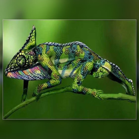 Caméléon coloré broderie diamant strass brillants sur toile
