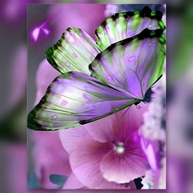 Diamond painting papillon violet améthyste strass brillants sur toile