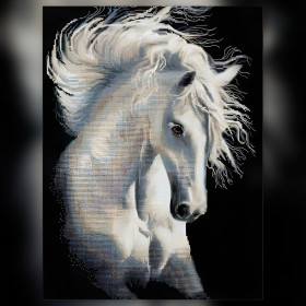 Diamond painting cheval blanc crinière flottante strass brillants toile noire