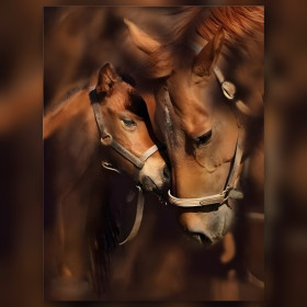 Motherly love diamond painting mare and foal brown sparkling rhinestones kit