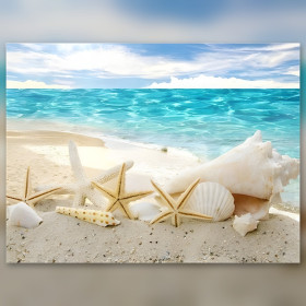 Diamond painting plage coquillages étoiles de mer strass brillants