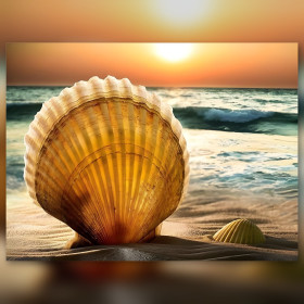 Tela diamond painting conchiglia spiaggia tramonto strass brillanti