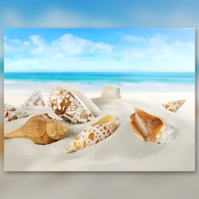 Seashells beach series G diamond painting canvas shiny rhinestones