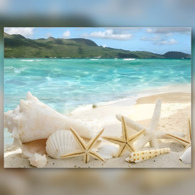 Tela diamond painting spiaggia turchese conchiglie stelle marine strass lucenti