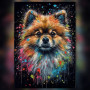 Diamond painting Spitz Nain coloré avec éclaboussures et strass brillants