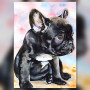 Bouledogue français aquarelle toile diamond painting strass brillants