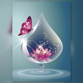 Magenta Schmetterling auf Wassertropfen mit rosa Lotus funkelnden Strasssteinen