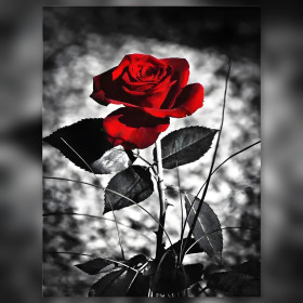 Rose rouge éclatante sur fond gris toile diamond painting strass brillants