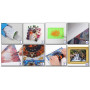  Border Collie, Free Spirit Diamond Painting Dogs