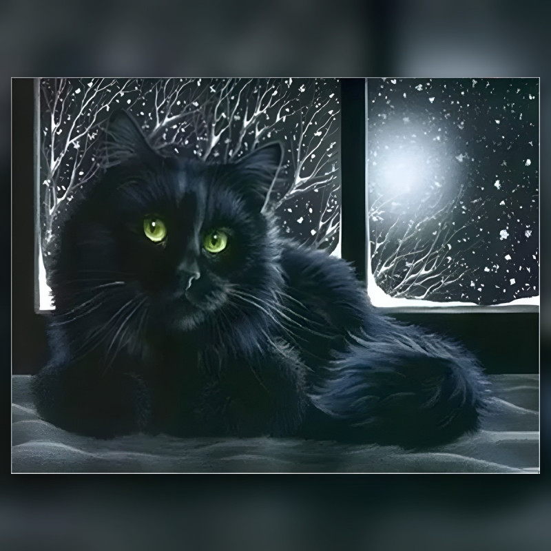 Toile de diamond painting Chat Noir aux Yeux de Jade sous la Neige broderie diamant kit complet