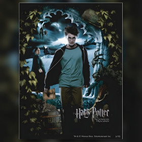 Diamond painting Harry Potter Prisonnier d'Azkaban toile strass brillants