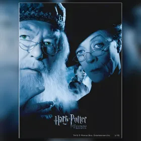 Dumbledore en McGonagall diamond painting canvas glinsterende steentjes Harry Potter
