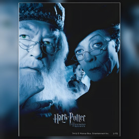 Dumbledore e McGonagall diamond painting tela strass brillanti Harry Potter