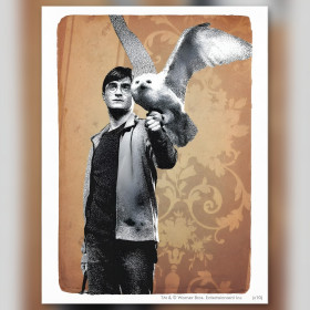 Harry Potter en Hedwig diamant schilderij glinsterende steentjes