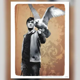 Harry Potter et Hedwige toile diamond painting strass brillants