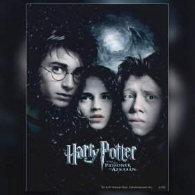 Harry Potter Gevangene van Azkaban diamond painting doek glinsterende steentjes