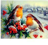 Diamond Painting Oiseaux