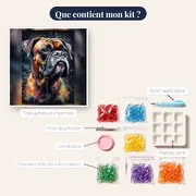 Boxer, Regard Intense – contenu du kit