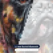 Boxer, Intense Gaze Diamond Painting – diamond close-up