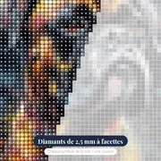 Boxer, Regard Intense – gros plan des diamants