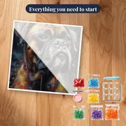 Boxer, Intense Gaze Diamond Painting – kit ready to start