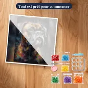 Boxer, Regard Intense – kit prêt à commencer