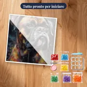 Boxer, Sguardo Intenso - Diamond Painting – kit pronto per iniziare
