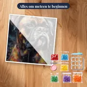 Boxer, Intense Blik - Diamantschilderij – pakket klaar om te beginnen