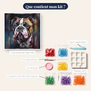 Bouledogue Français en Couleurs – contenu du kit