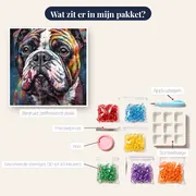 Franse Bulldog in Kleuren Diamond Painting – inhoud van het pakket