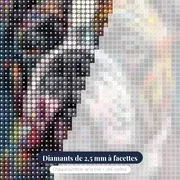 Bouledogue Français en Couleurs – gros plan des diamants