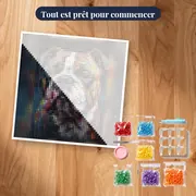 Bouledogue Français en Couleurs – kit prêt à commencer