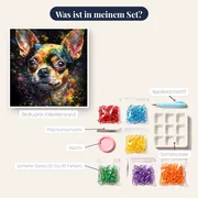 Chihuahua, kleiner Begleiter Diamond Painting – Inhalt des Sets