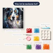 Majestätischer Berner Sennenhund Diamond Painting – Inhalt des Sets