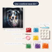 Bouvier Bernois Majestueux – contenu du kit