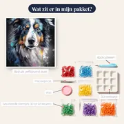 Majestueuze Berner Sennenhond Diamond Painting – inhoud van het pakket